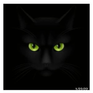 Meet your Posher, Lucille